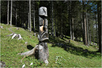 click for detailed view thumbnail