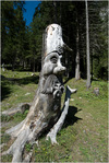 click for detailed view thumbnail