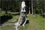 click for detailed view thumbnail
